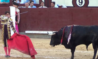 Rafa Serna, muy grave tras una escalofriante cornada en Las Ventas