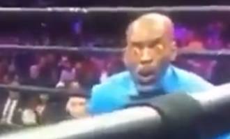 La reacción de un árbitro de boxeo que se ha vuelto viral