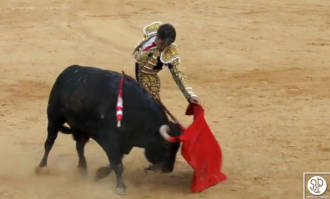 José Tomás revoluciona Alicante en la Feria de Hogueras de San Juan