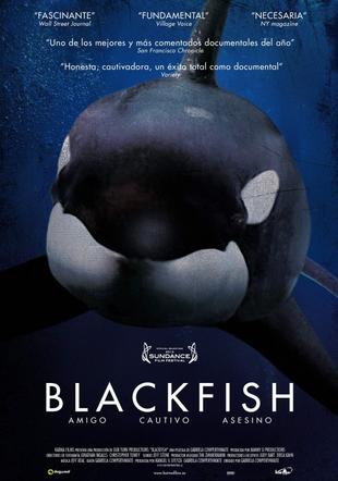 Póster Blackfish