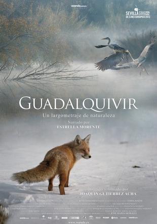 Póster Guadalquivir