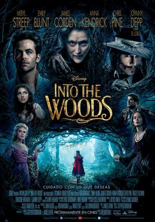Póster Into the woods
